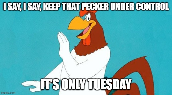 Rooster | I SAY, I SAY, KEEP THAT PECKER UNDER CONTROL; IT'S ONLY TUESDAY | image tagged in rooster | made w/ Imgflip meme maker