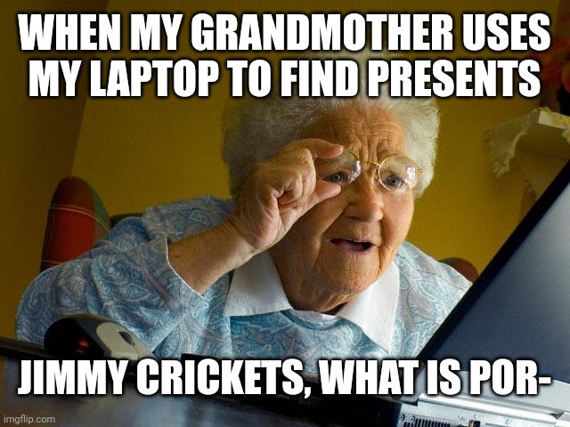 If you know you know | WHEN MY GRANDMOTHER USES MY LAPTOP TO FIND PRESENTS; JIMMY CRICKETS, WHAT IS POR- | image tagged in memes,grandma finds the internet | made w/ Imgflip meme maker