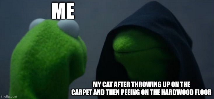 da kitty | ME; MY CAT AFTER THROWING UP ON THE CARPET AND THEN PEEING ON THE HARDWOOD FLOOR | image tagged in memes,evil kermit | made w/ Imgflip meme maker