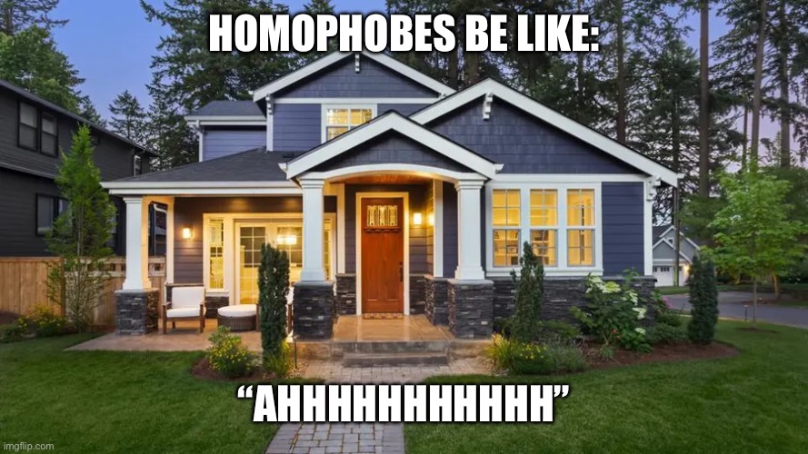 HOMOPHOBES BE LIKE:; “AHHHHHHHHHHH” | made w/ Imgflip meme maker