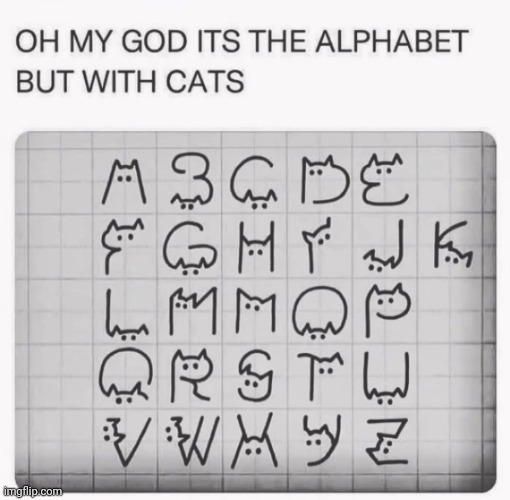 Cat alphabet | image tagged in funny,memes,cats | made w/ Imgflip meme maker