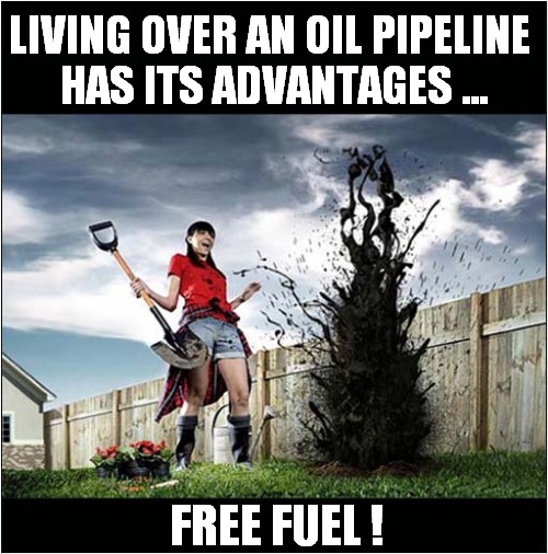 Struck Black Gold In Garden ! | LIVING OVER AN OIL PIPELINE
 HAS ITS ADVANTAGES ... FREE FUEL ! | image tagged in black gold,oil,free fuel | made w/ Imgflip meme maker