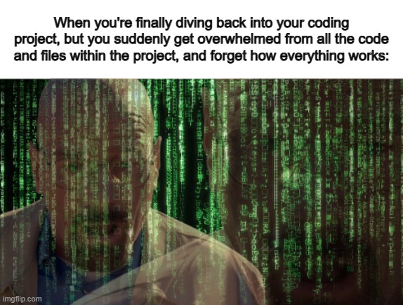 If this happens, it increases the difficult of the project :( | When you're finally diving back into your coding project, but you suddenly get overwhelmed from all the code and files within the project, and forget how everything works: | made w/ Imgflip meme maker