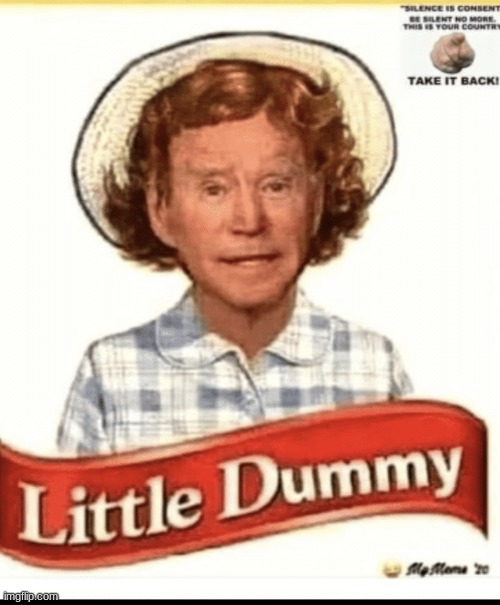 Little Dummy | image tagged in little dummy | made w/ Imgflip meme maker