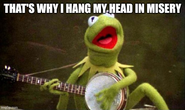 Why Kermit Banjo | THAT'S WHY I HANG MY HEAD IN MISERY | image tagged in why kermit banjo | made w/ Imgflip meme maker