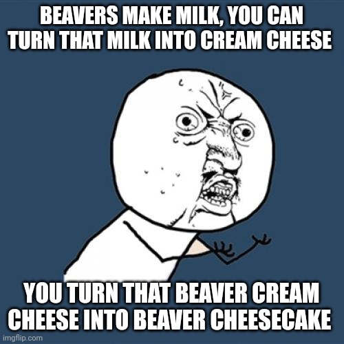 Beaver cheesecake | BEAVERS MAKE MILK, YOU CAN TURN THAT MILK INTO CREAM CHEESE; YOU TURN THAT BEAVER CREAM CHEESE INTO BEAVER CHEESECAKE | image tagged in memes,y u no | made w/ Imgflip meme maker