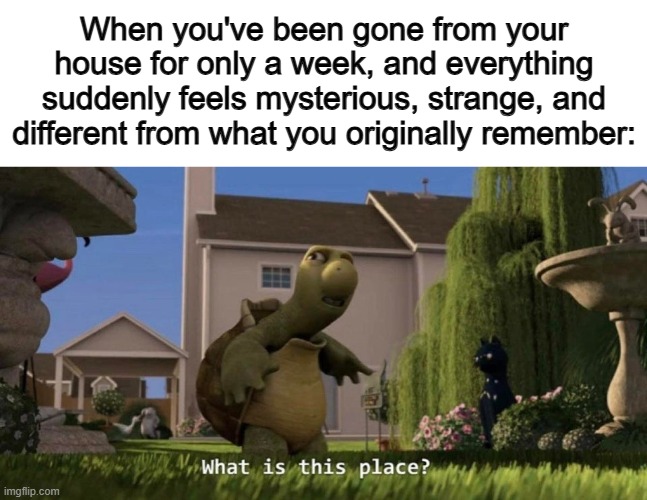 This was me coming back from a kayaking trip :D | When you've been gone from your house for only a week, and everything suddenly feels mysterious, strange, and different from what you originally remember: | image tagged in what is this place | made w/ Imgflip meme maker