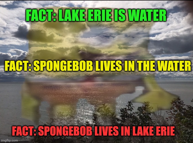 Flawless logic | FACT: LAKE ERIE IS WATER; FACT: SPONGEBOB LIVES IN THE WATER; FACT: SPONGEBOB LIVES IN LAKE ERIE | image tagged in stop it get some help,flawless,logic,spongebob | made w/ Imgflip meme maker