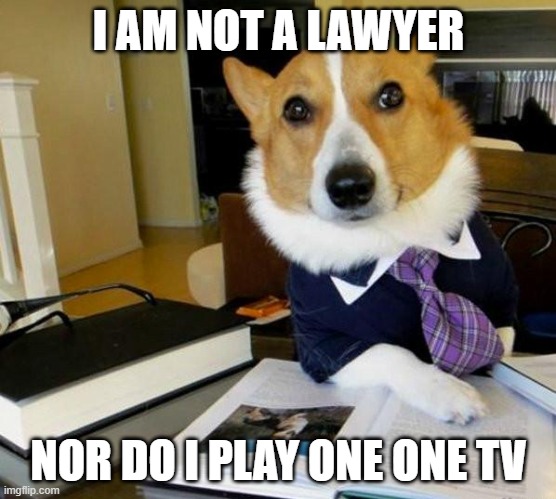 Lawyer Corgi Dog | I AM NOT A LAWYER; NOR DO I PLAY ONE ONE TV | image tagged in lawyer corgi dog | made w/ Imgflip meme maker