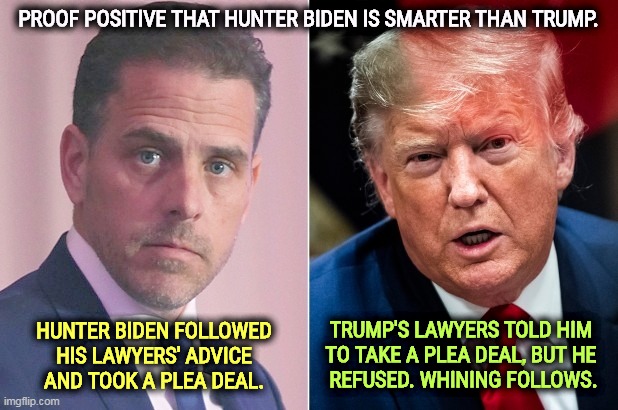 Beware false equivalencies. No Biden never jeopardized U.S. national security like Trump did. | PROOF POSITIVE THAT HUNTER BIDEN IS SMARTER THAN TRUMP. TRUMP'S LAWYERS TOLD HIM 
TO TAKE A PLEA DEAL, BUT HE 
REFUSED. WHINING FOLLOWS. HUNTER BIDEN FOLLOWED HIS LAWYERS' ADVICE AND TOOK A PLEA DEAL. | image tagged in hunter biden,smart,donald trump,stupid,national security | made w/ Imgflip meme maker