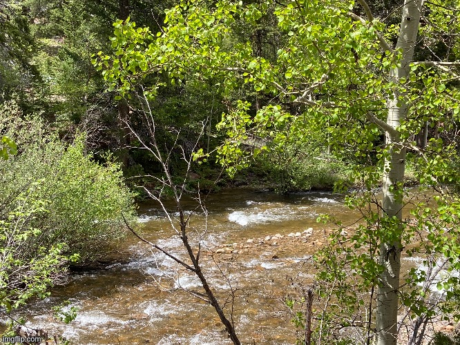 Just a photo of a river, or creek I forget (2) | image tagged in something,june 18 2023 | made w/ Imgflip meme maker