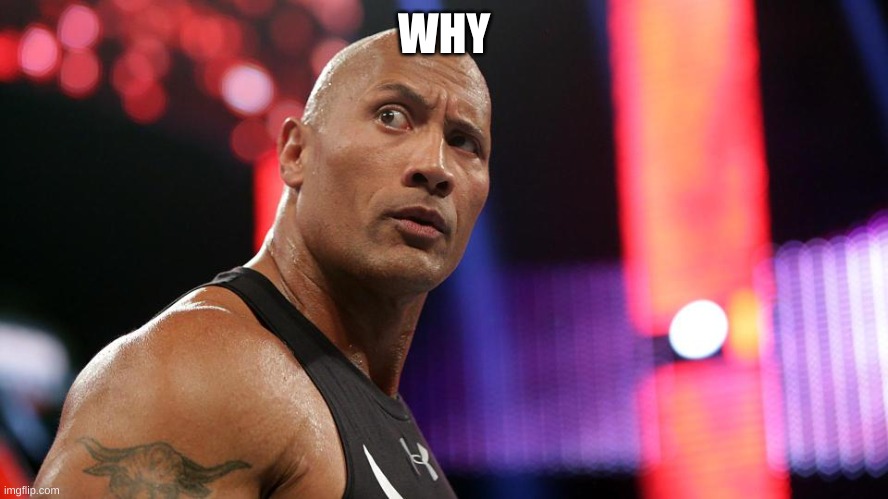 the rock eyebrow wtf face | WHY | image tagged in the rock eyebrow wtf face | made w/ Imgflip meme maker