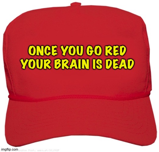 blank red MAGA hat | ONCE YOU GO RED

YOUR BRAIN IS DEAD | image tagged in blank red maga hat | made w/ Imgflip meme maker