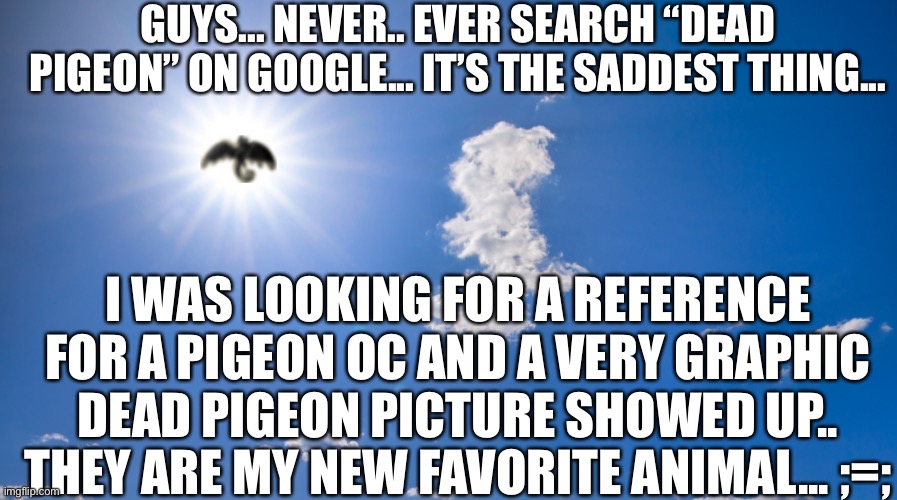 Dang- they are so fvcking cute man- | GUYS... NEVER.. EVER SEARCH “DEAD PIGEON” ON GOOGLE... IT’S THE SADDEST THING... I WAS LOOKING FOR A REFERENCE FOR A PIGEON OC AND A VERY GRAPHIC DEAD PIGEON PICTURE SHOWED UP.. THEY ARE MY NEW FAVORITE ANIMAL... ;=; | image tagged in guardian angel | made w/ Imgflip meme maker