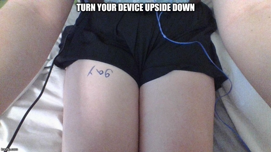 TURN YOUR DEVICE UPSIDE DOWN | image tagged in gay | made w/ Imgflip meme maker