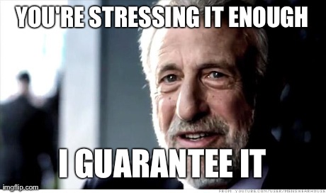 I Guarantee It | YOU'RE STRESSING IT ENOUGH I GUARANTEE IT | image tagged in memes,i guarantee it,AdviceAnimals | made w/ Imgflip meme maker