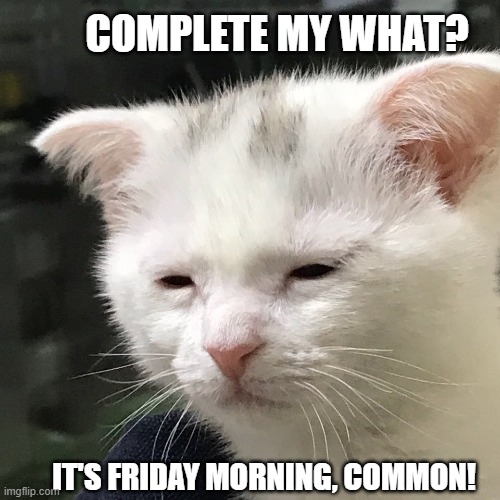Timesheets | COMPLETE MY WHAT? IT'S FRIDAY MORNING, COMMON! | image tagged in i'm awake but at what cost | made w/ Imgflip meme maker