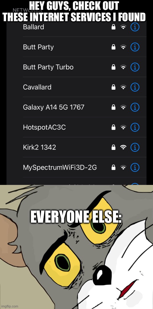 Somebody please help | HEY GUYS, CHECK OUT THESE INTERNET SERVICES I FOUND; EVERYONE ELSE: | image tagged in memes,unsettled tom | made w/ Imgflip meme maker