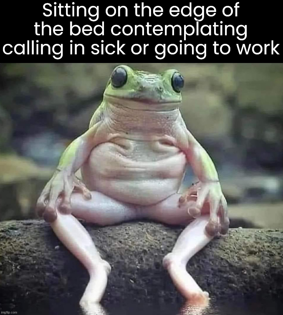 This happens too often | Sitting on the edge of the bed contemplating calling in sick or going to work | image tagged in work,sick,decisions,frogs,choices | made w/ Imgflip meme maker