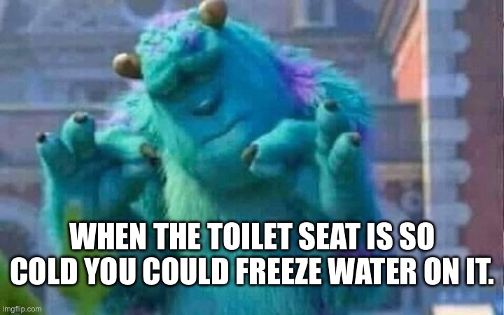 Icebox seat | WHEN THE TOILET SEAT IS SO COLD YOU COULD FREEZE WATER ON IT. | image tagged in sully shutdown | made w/ Imgflip meme maker