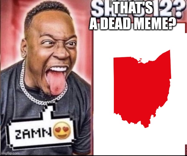 Zamn | THAT'S A DEAD MEME? | image tagged in zamn | made w/ Imgflip meme maker