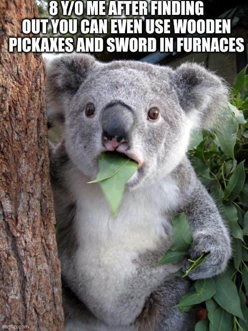Surprised Koala Meme | 8 Y/O ME AFTER FINDING OUT YOU CAN EVEN USE WOODEN PICKAXES AND SWORD IN FURNACES | image tagged in memes,surprised koala | made w/ Imgflip meme maker