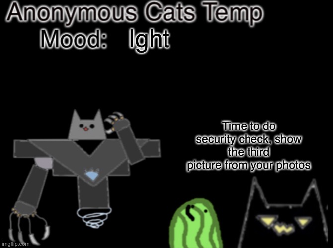 Anonymous_Cats temp | Ight; Time to do security check, show the third picture from your photos | image tagged in anonymous_cats temp | made w/ Imgflip meme maker