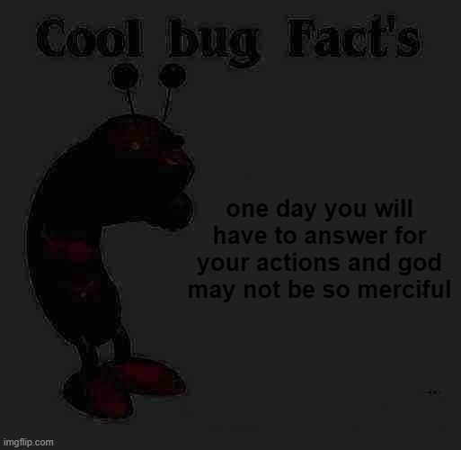 Cool Bug Facts | one day you will have to answer for your actions and god may not be so merciful | image tagged in cool bug facts | made w/ Imgflip meme maker