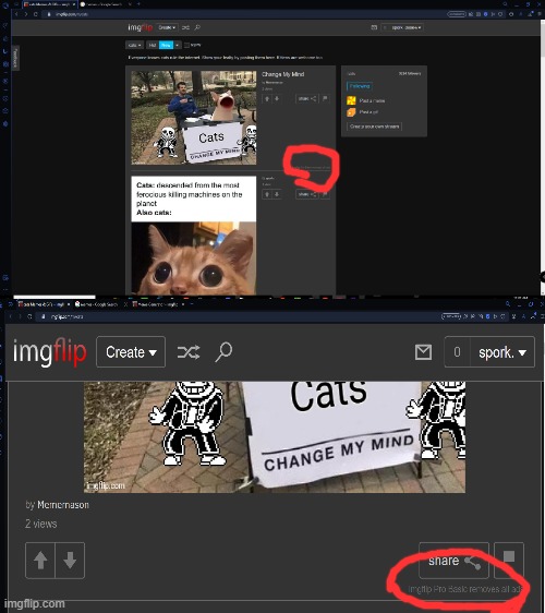 just realized you can see if someone has imgflip pro | made w/ Imgflip meme maker