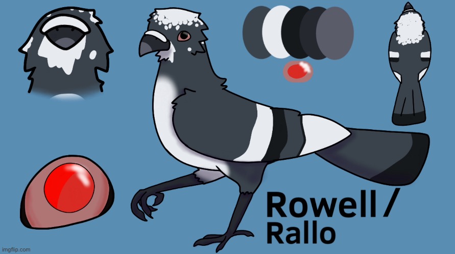 Introducing for the first time ever: Rowell the pigeon!! (I saw a pigeon with white on its head and it gave me inspiration :] ) | image tagged in yay,pigie | made w/ Imgflip meme maker