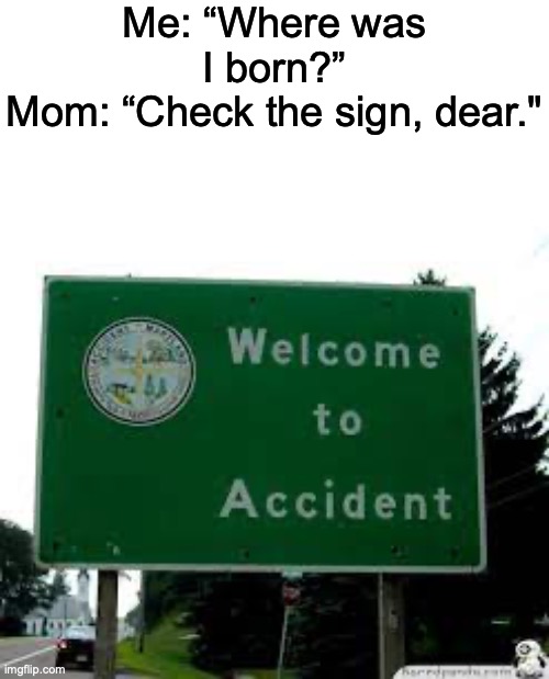 I was born here, anyone else? | Me: “Where was I born?”
Mom: “Check the sign, dear." | image tagged in funny signs,memenade | made w/ Imgflip meme maker