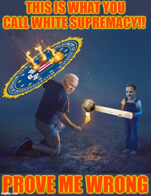 Democrats protect their own. | THIS IS WHAT YOU CALL WHITE SUPREMACY!! PROVE ME WRONG | image tagged in hunter biden,joe biden,white supremacy | made w/ Imgflip meme maker