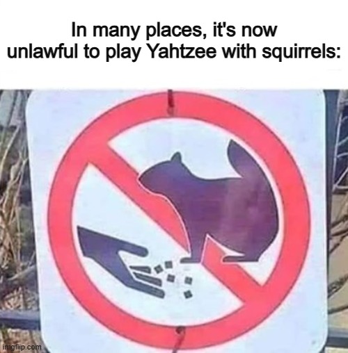 Aw man :( thats a bummer :/ | In many places, it's now unlawful to play Yahtzee with squirrels: | made w/ Imgflip meme maker