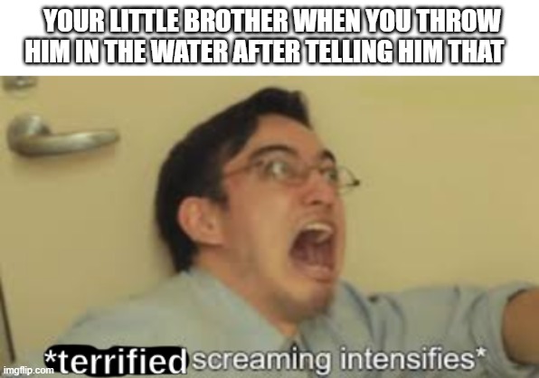 *Terrified Screaming Intensifies* | YOUR LITTLE BROTHER WHEN YOU THROW HIM IN THE WATER AFTER TELLING HIM THAT | image tagged in terrified screaming intensifies | made w/ Imgflip meme maker