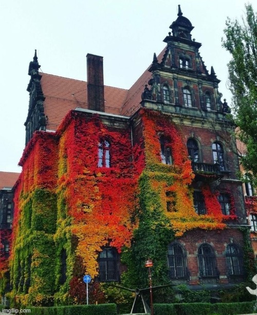 image tagged in awesome | made w/ Imgflip meme maker