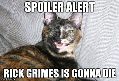 SPOILER ALERT RICK GRIMES IS GONNA DIE | image tagged in pheobe heyo cat | made w/ Imgflip meme maker
