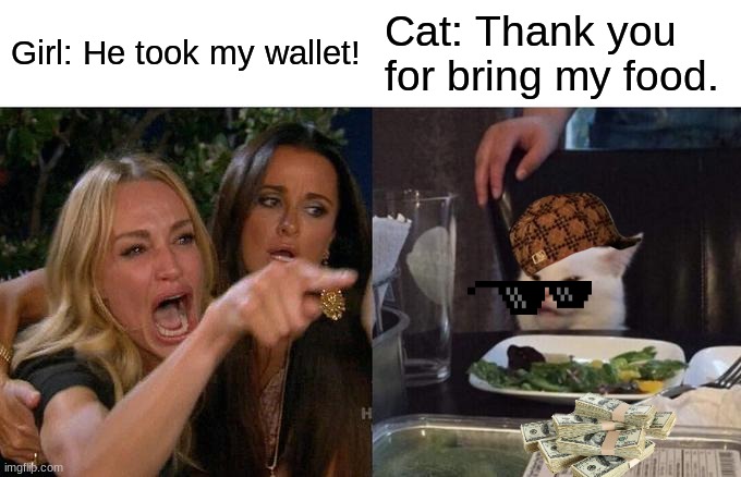 Woman Yelling At Cat | Girl: He took my wallet! Cat: Thank you for bring my food. | image tagged in memes,woman yelling at cat | made w/ Imgflip meme maker