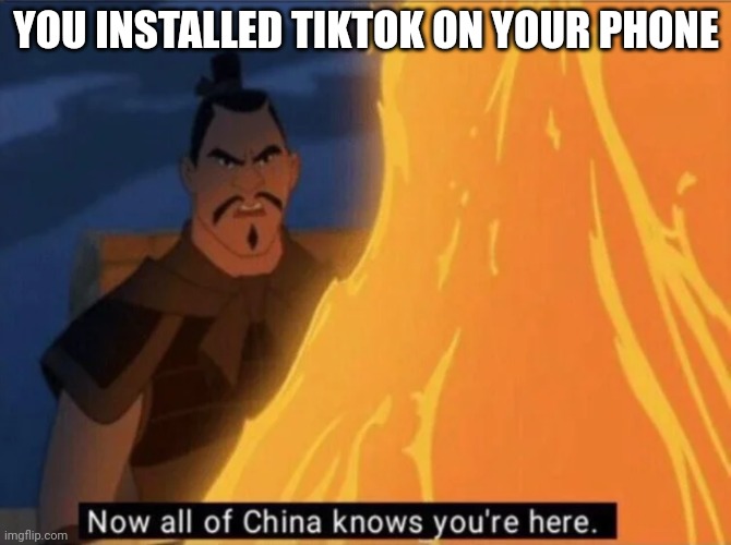 You installed Tiktok on your phone now all of China knows your here | YOU INSTALLED TIKTOK ON YOUR PHONE | image tagged in now all of china knows you're here | made w/ Imgflip meme maker