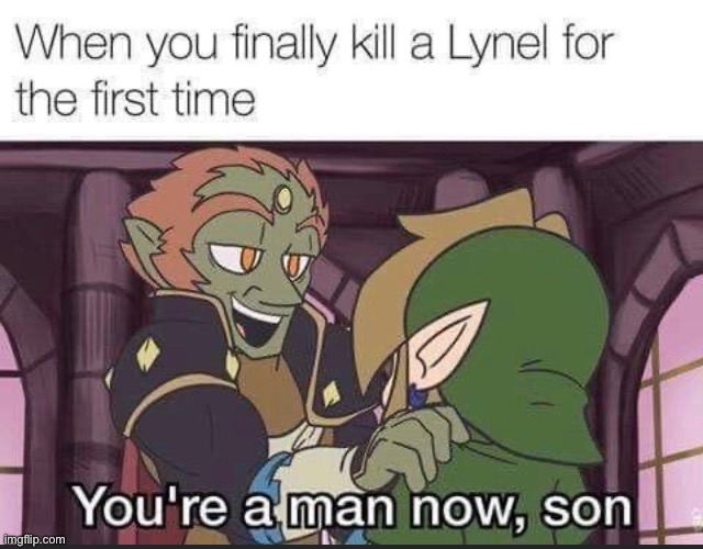 W | image tagged in the legend of zelda breath of the wild,botw,link | made w/ Imgflip meme maker