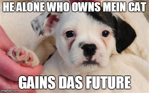 HE ALONE WHO OWNS MEIN CAT GAINS DAS FUTURE | made w/ Imgflip meme maker