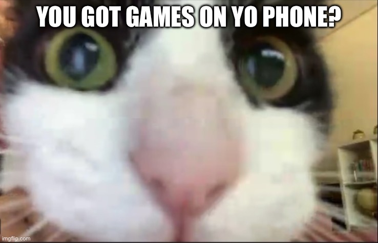 you got games on yo phone? | YOU GOT GAMES ON YO PHONE? | image tagged in cat staring at camera | made w/ Imgflip meme maker