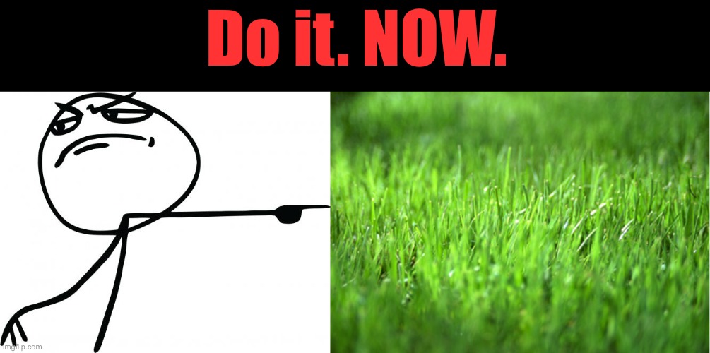 Do it. NOW. | image tagged in gtfo,grass is greener | made w/ Imgflip meme maker