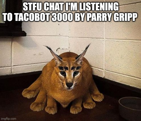 bibically accurate floppa | STFU CHAT I'M LISTENING TO TACOBOT 3000 BY PARRY GRIPP | image tagged in bibically accurate floppa | made w/ Imgflip meme maker