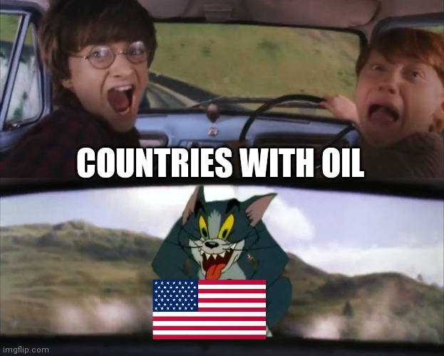 Usa when other country has oil | COUNTRIES WITH OIL | image tagged in tom chasing harry and ron weasly | made w/ Imgflip meme maker