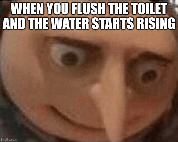 imagine the mom seeing that | WHEN YOU FLUSH THE TOILET AND THE WATER STARTS RISING | image tagged in uh oh gru,meme | made w/ Imgflip meme maker