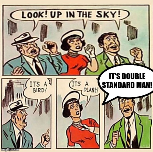 Its a bird, Its a plane | IT'S DOUBLE STANDARD MAN! | image tagged in its a bird its a plane | made w/ Imgflip meme maker