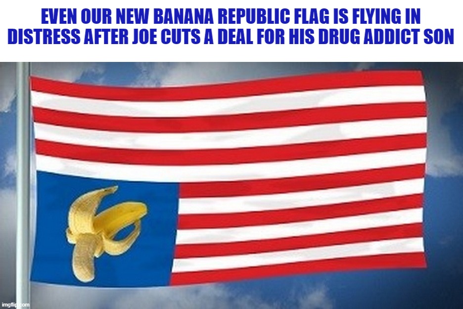 Joe helped pass laws that put Black and Hispanic "criminals" in jail for the same crime. White privilege? Biden privilege? YES | EVEN OUR NEW BANANA REPUBLIC FLAG IS FLYING IN DISTRESS AFTER JOE CUTS A DEAL FOR HIS DRUG ADDICT SON | image tagged in liberal hypocrisy,liberal logic,liberal media,hollywood liberals,liberalism,stupid liberals | made w/ Imgflip meme maker