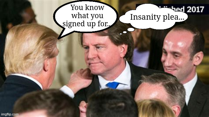 Trump's lawyers... | Insanity plea... | image tagged in donald trump,lawyers,espionage,criminal,traitor,maga | made w/ Imgflip meme maker