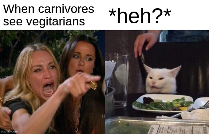 Woman Yelling At Cat Meme | When carnivores see vegitarians; *heh?* | image tagged in memes,woman yelling at cat | made w/ Imgflip meme maker