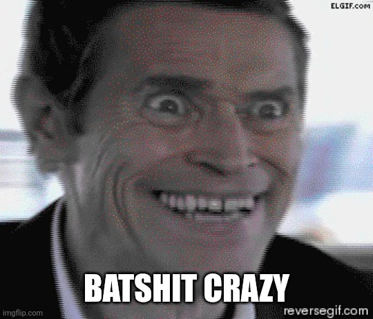 Willem Dafoe Insanity | BATSHIT CRAZY | image tagged in willem dafoe insanity | made w/ Imgflip meme maker